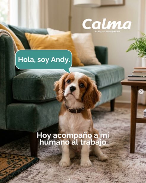 Hola, soy Andy: hoy acompaño a mi humano al trabajo