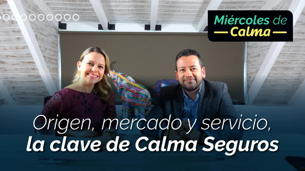 Origen, mercado y servicio, la clave de Calma Seguros