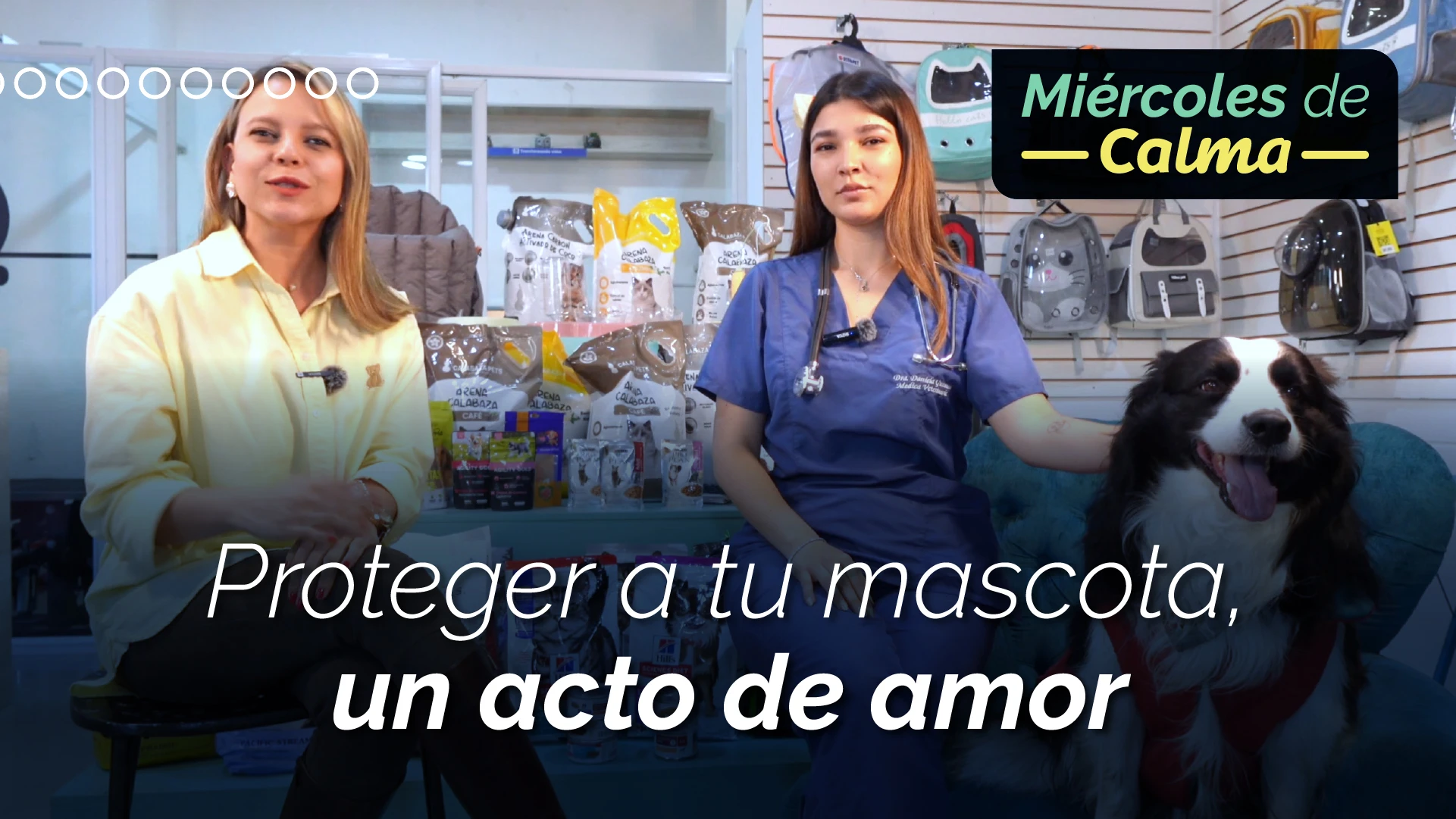 Proteger a tu mascota, un acto de amor